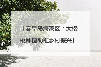 秦皇岛海港区：大樱桃种植助推乡村振兴