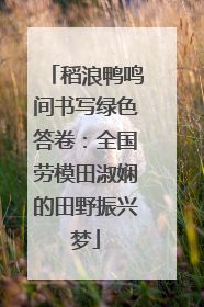 稻浪鸭鸣间书写绿色答卷：全国劳模田淑娴的田野振兴梦