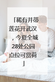 稀有并蒂莲花开武汉，今夏全城28处公园点位可赏荷