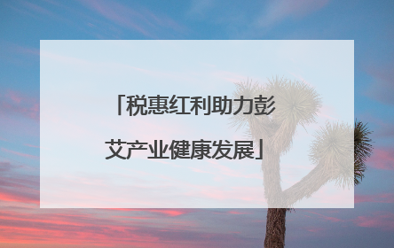 税惠红利助力彭艾产业健康发展