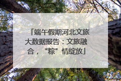 端午假期河北文旅大数据报告：文旅融合，“粽”情绽放