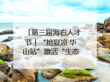 第三届海右人才节｜“拾夏凉·华山站”激活“生态聚才”强磁场