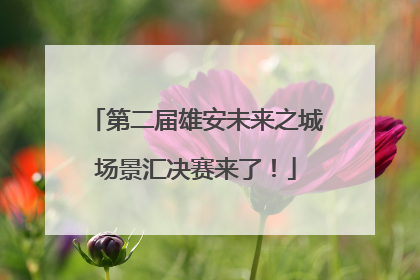 第二届雄安未来之城场景汇决赛来了！