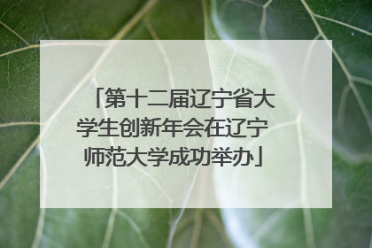 第十二届辽宁省大学生创新年会在辽宁师范大学成功举办