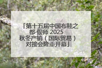 第十五届中国布鞋之都·偃师 2025 秋冬产销（国际贸易）对接会隆重开幕