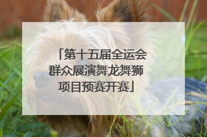 第十五届全运会群众展演舞龙舞狮项目预赛开赛
