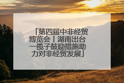 第四届中非经贸博览会丨湖南出台一揽子鼓励措施助力对非经贸发展