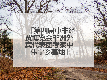 第四届中非经贸博览会非洲外宾代表团考察中伟宁乡基地