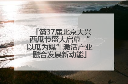 第37届北京大兴西瓜节盛大启幕 “以瓜为媒”激活产业融合发展新动能