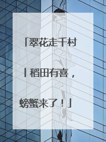 翠花走千村丨稻田有喜，螃蟹来了！