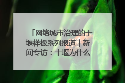 网络城市治理的十堰样板系列报道｜新闻专访：十堰为什么成为“黑马型”城市治理网络维度典型