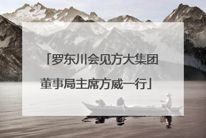 罗东川会见方大集团董事局主席方威一行