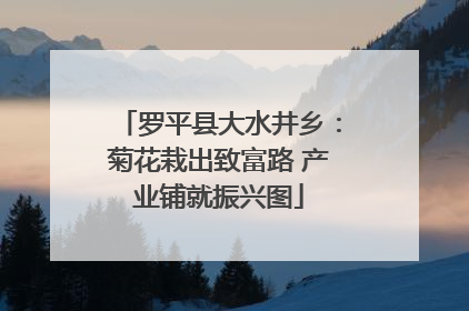 罗平县大水井乡：菊花栽出致富路 产业铺就振兴图