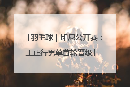 羽毛球｜印尼公开赛：王正行男单首轮晋级