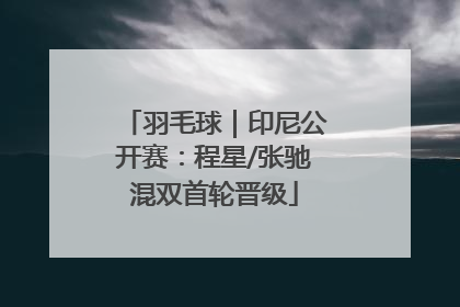 羽毛球｜印尼公开赛：程星/张驰混双首轮晋级