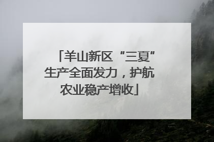 羊山新区“三夏”生产全面发力，护航农业稳产增收