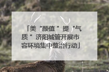 美“颜值 ”提“气质 ”济阳城管开展市容环境集中整治行动