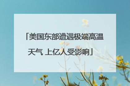 美国东部遭遇极端高温天气 上亿人受影响