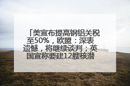 美宣布提高钢铝关税至50%，欧盟：深表遗憾，将继续谈判；英国宣称要建12艘核潜艇；马斯克最新发声：不想为美政府所做的一切承担责任丨早报
