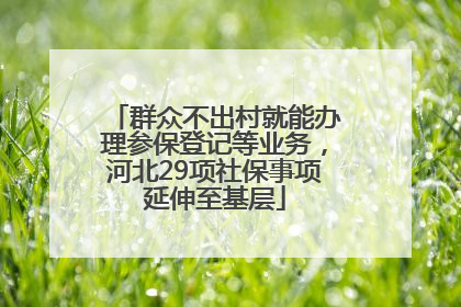 群众不出村就能办理参保登记等业务，河北29项社保事项延伸至基层