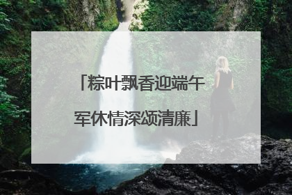 粽叶飘香迎端午 军休情深颂清廉