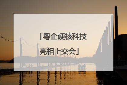 粤企硬核科技亮相上交会