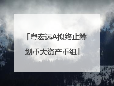 粤宏远A拟终止筹划重大资产重组