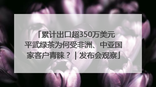 累计出口超350万美元 平武绿茶为何受非洲、中亚国家客户青睐？｜发布会观察