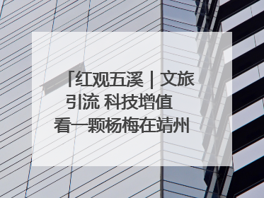 红观五溪｜文旅引流 科技增值 看一颗杨梅在靖州的“商业觉醒”