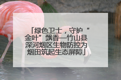 绿色卫士，守护“金叶”飘香—竹山县深河烟区生物防控为烟田筑起生态屏障