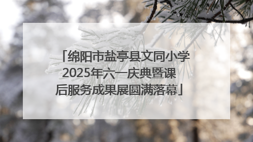 绵阳市盐亭县文同小学2025年六一庆典暨课后服务成果展圆满落幕