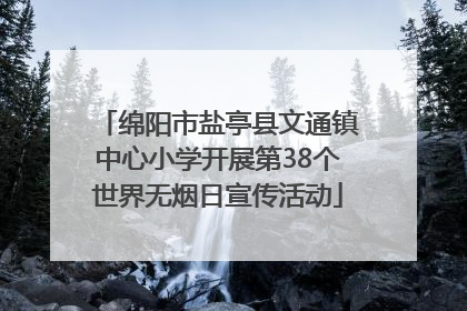 绵阳市盐亭县文通镇中心小学开展第38个世界无烟日宣传活动