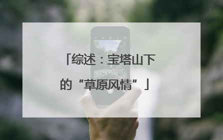 综述：宝塔山下的“草原风情”