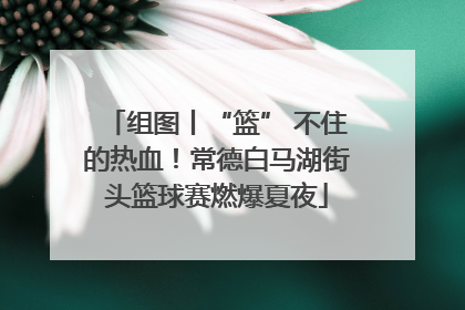 组图丨“篮” 不住的热血！常德白马湖街头篮球赛燃爆夏夜