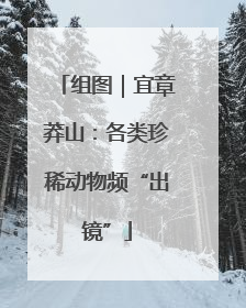 组图｜宜章莽山：各类珍稀动物频“出镜”