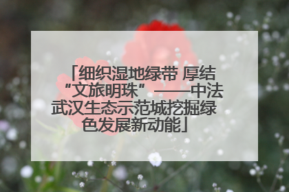 细织湿地绿带 厚结“文旅明珠”——中法武汉生态示范城挖掘绿色发展新动能