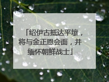 绍伊古抵达平壤，将与金正恩会面，并缅怀朝鲜战士