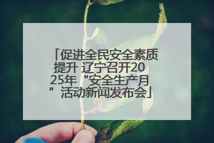 促进全民安全素质提升 辽宁召开2025年“安全生产月”活动新闻发布会