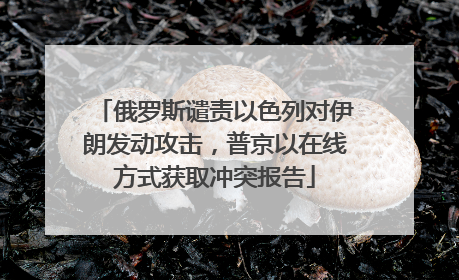 俄罗斯谴责以色列对伊朗发动攻击，普京以在线方式获取冲突报告
