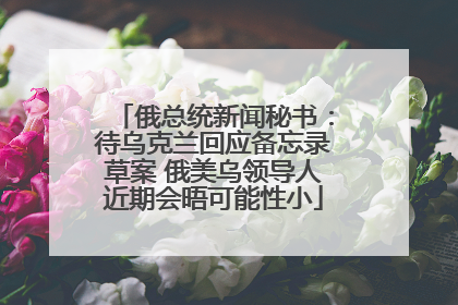 俄总统新闻秘书：待乌克兰回应备忘录草案 俄美乌领导人近期会晤可能性小