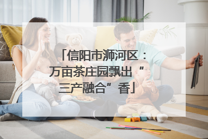 信阳市浉河区：万亩茶庄园飘出“三产融合”香