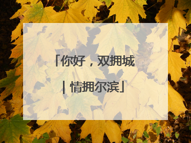 你好，双拥城｜情拥尔滨