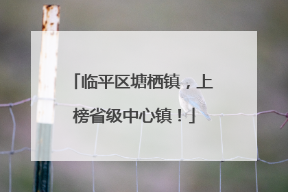 临平区塘栖镇，上榜省级中心镇！