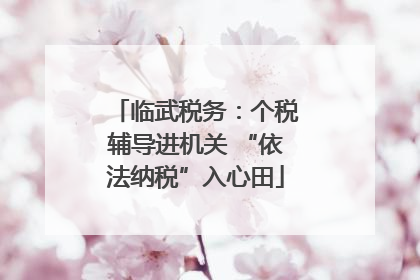 临武税务：个税辅导进机关 “依法纳税”入心田