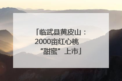 临武县黄皮山：2000亩红心桃“甜蜜”上市