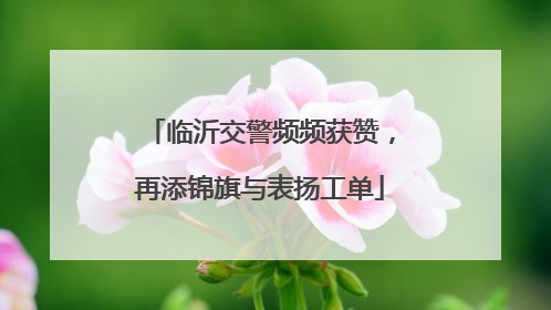 临沂交警频频获赞，再添锦旗与表扬工单