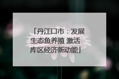 丹江口市：发展生态鱼养殖 激活库区经济新动能