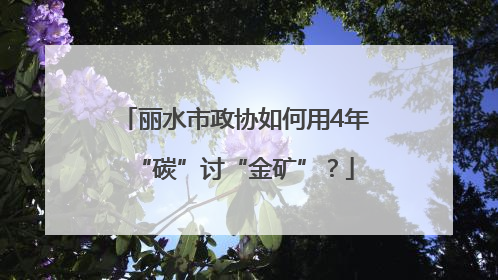 丽水市政协如何用4年“碳”讨“金矿”？