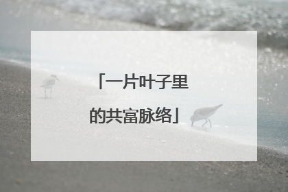 一片叶子里的共富脉络