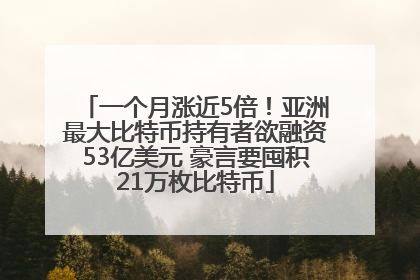 一个月涨近5倍！亚洲最大比特币持有者欲融资53亿美元 豪言要囤积21万枚比特币